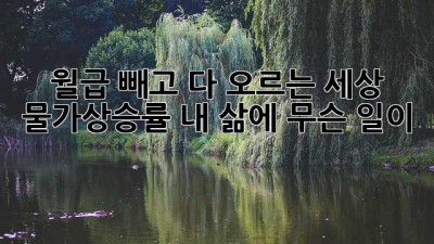💰 월급 빼고 다 오르는 세상! 물가상승률, 내 삶에 무슨 일이? 😥