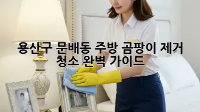 용산구 문배동 주방 곰팡이 제거 청소 완벽 가이드