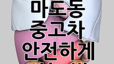사천시 마도동 중고차 안전하게 사는 법